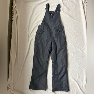 Artix ski bib/overalls